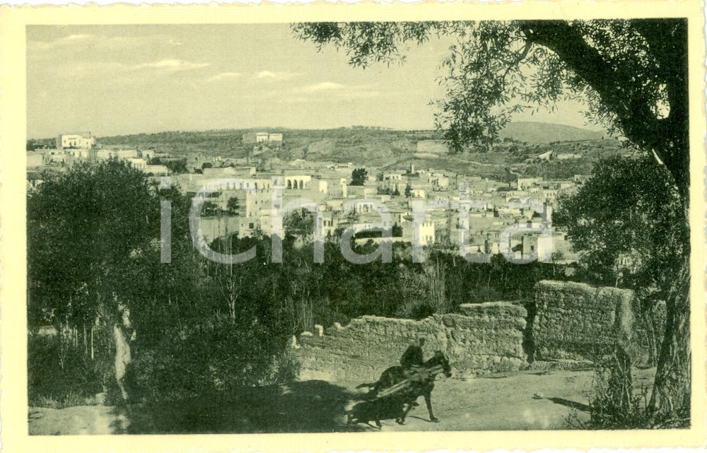 Cartolina originale da collezione 1940 ca FEZ MAROCCO Veduta della cittÃ  santa ANIMATA Cartolina FP NV 1