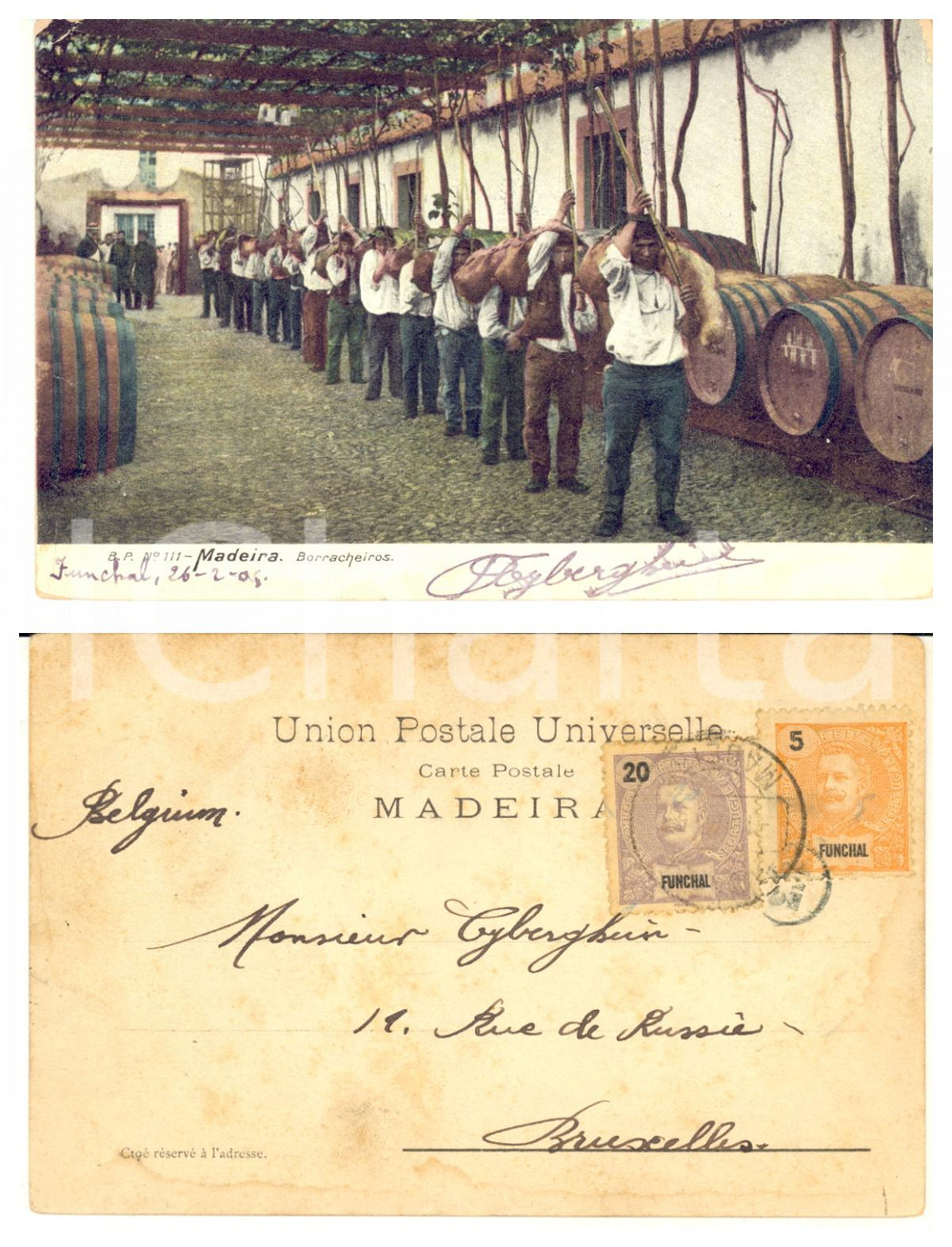 1905 FUNCHAL / MADEIRA (PORTUGAL) Borracheiros - Old postcard  Cartolina postale d'epoca, viaggiata.CONDIZIONI: F (lievi piegature e abrasioni angolari)FORMATO: FP    originale e autentica 1
