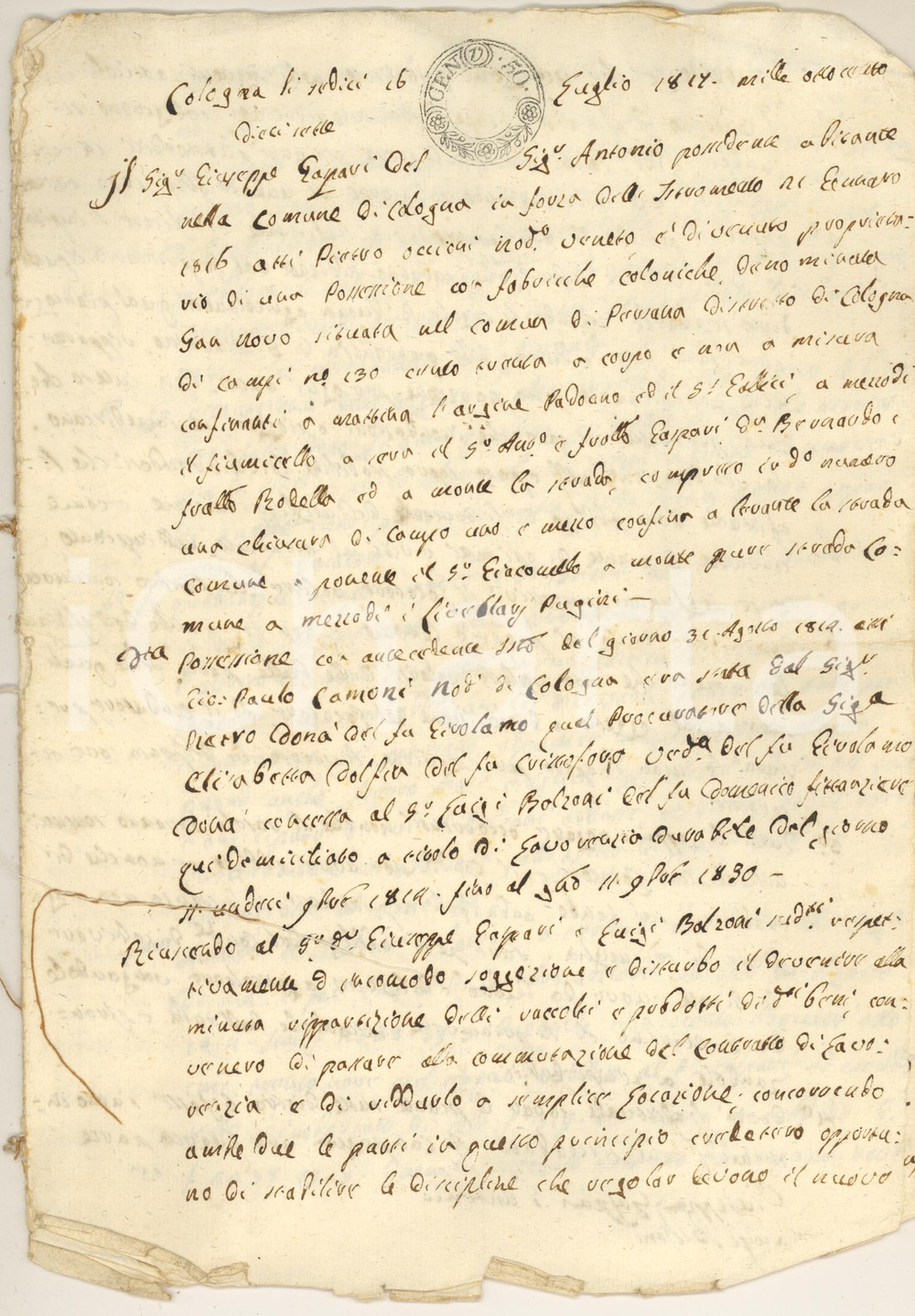 Documento originale, autentico 1817 COLOGNA VENETA (VR) Giuseppe GASPARI affitta terreno con fiumicello 1