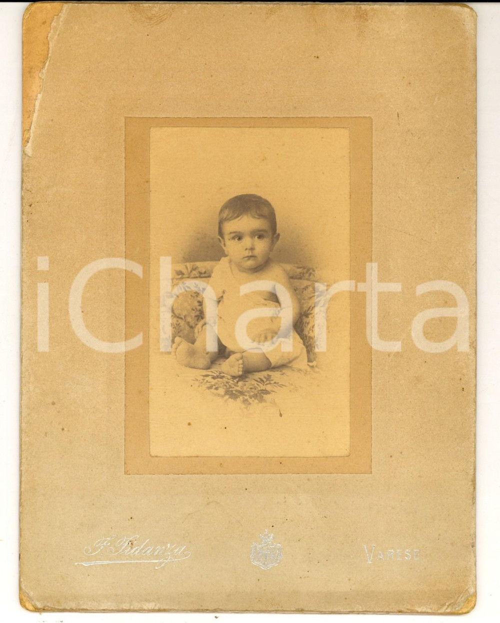 Fotografia d epoca originale 1900 ca VARESE Bambino di pochi mesi su divano a fiori Foto Francesco FIDANZA 1