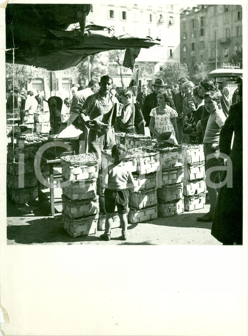 Fotografia d epoca originale 1935 MILANO Massaie al banco dell uva al mercato Fotografia DANNEGGIATA 1