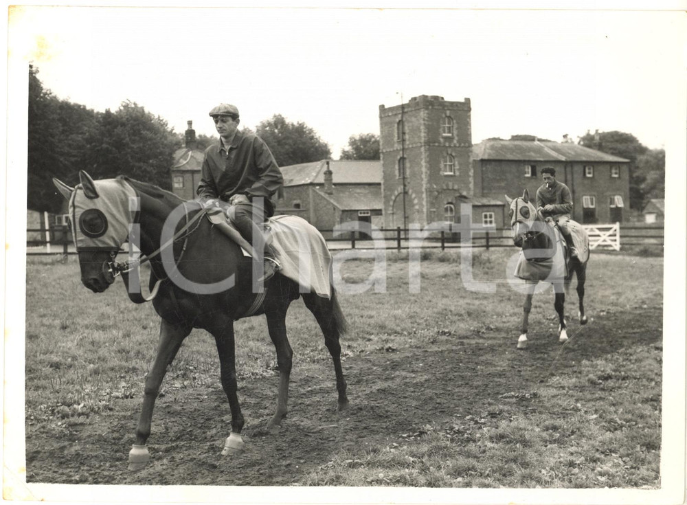 1962 NEWMARKET (UK) Exercise for ANTELAMI the Italian colt ST. LEGER favourite