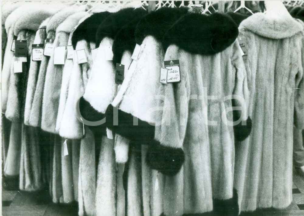 Fotografia d epoca originale 1977 PARIS Esposizione di pellicce all Hotel GEORGES V Fotografia 1