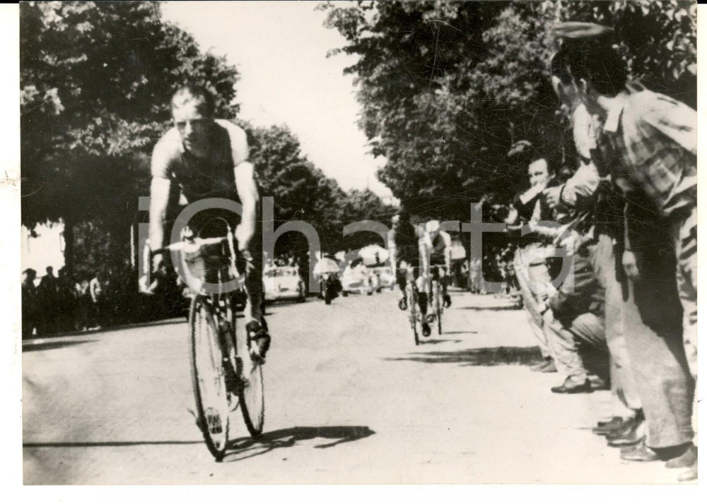 Fotografia d epoca originale 1956 CICLISMO GIRO D ITALIA Jan NOLTEN in volata durante una tappa Foto 18x14 1