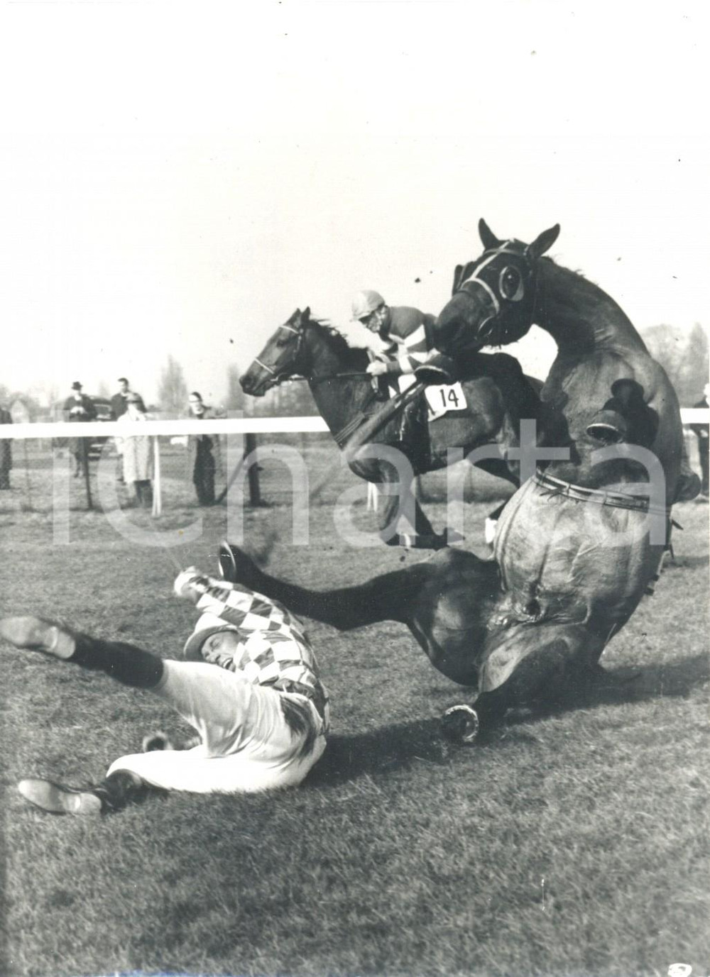 Fotografia d epoca originale 1962 LONDON National Park  Steeplechase  Freddie WINTER cade da Malacca III 1