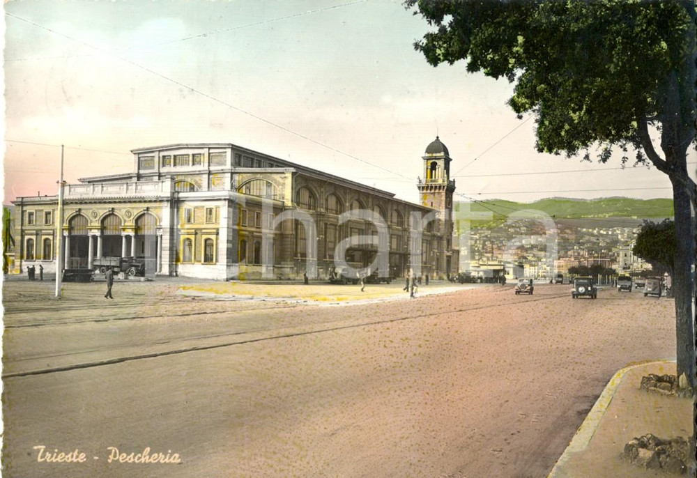 Cartolina originale da collezione 1952 TRIESTE Veduta della Pescheria Centrale Cartolina postale FG VG 1