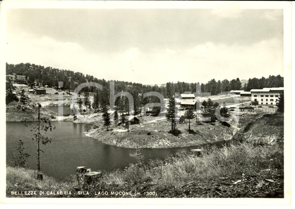 Cartolina originale da collezione 1953 LAGO MUCONE CS Veduta del Lago Mucone Cartolina FG VG 1
