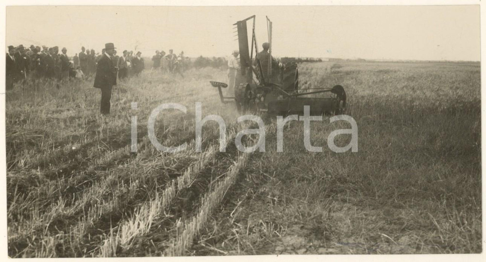 Fotografia d epoca originale 1935 BENGASI LIBIA ITALIANA Agricoltura  Festa del Grano Foto 16x9 cm 1