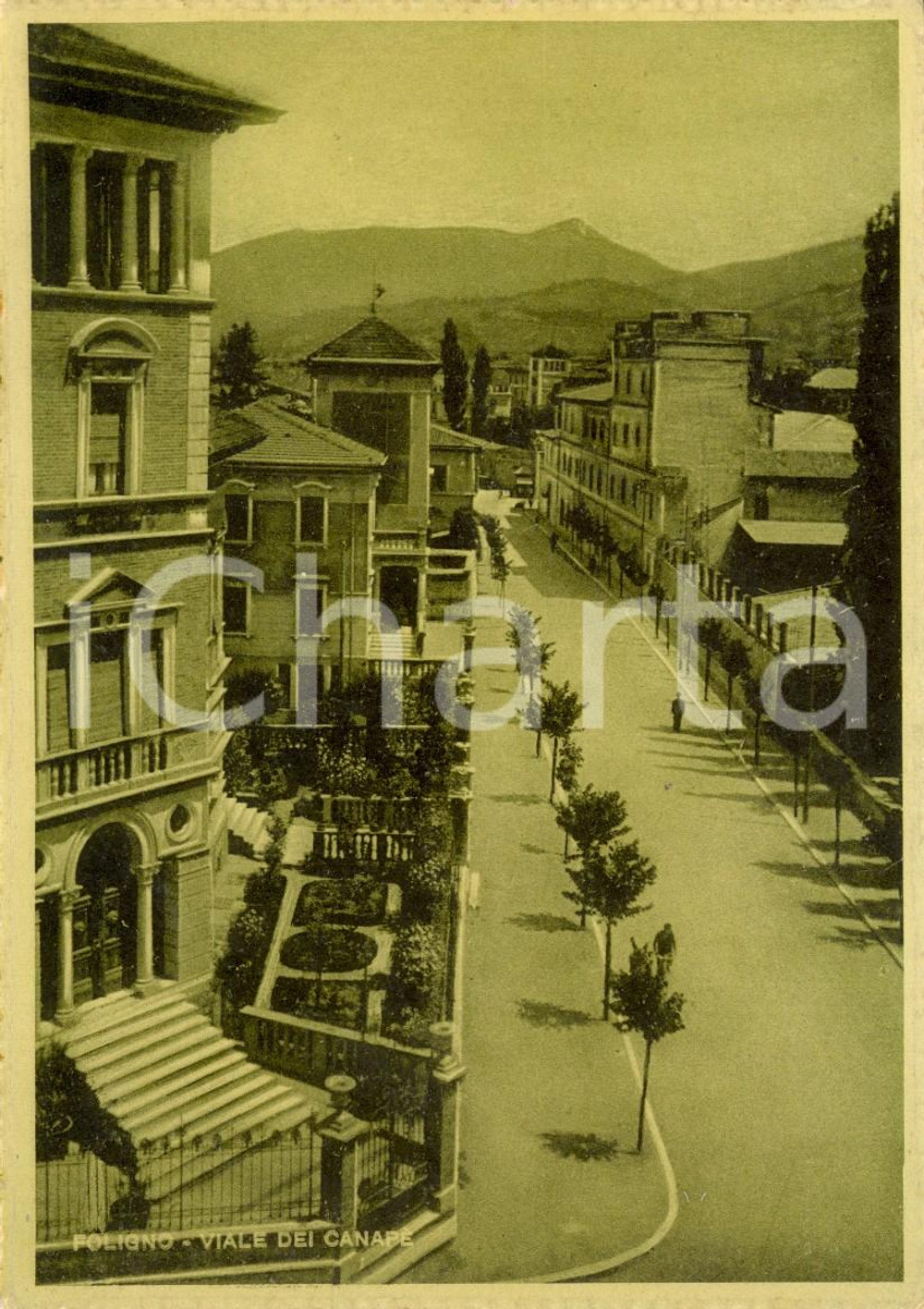 Cartolina originale da collezione 1940 ca FOLIGNO (PG) Veduta viale dei CANAPE' *Cartolina DANNEGGIATA FG NV 1
