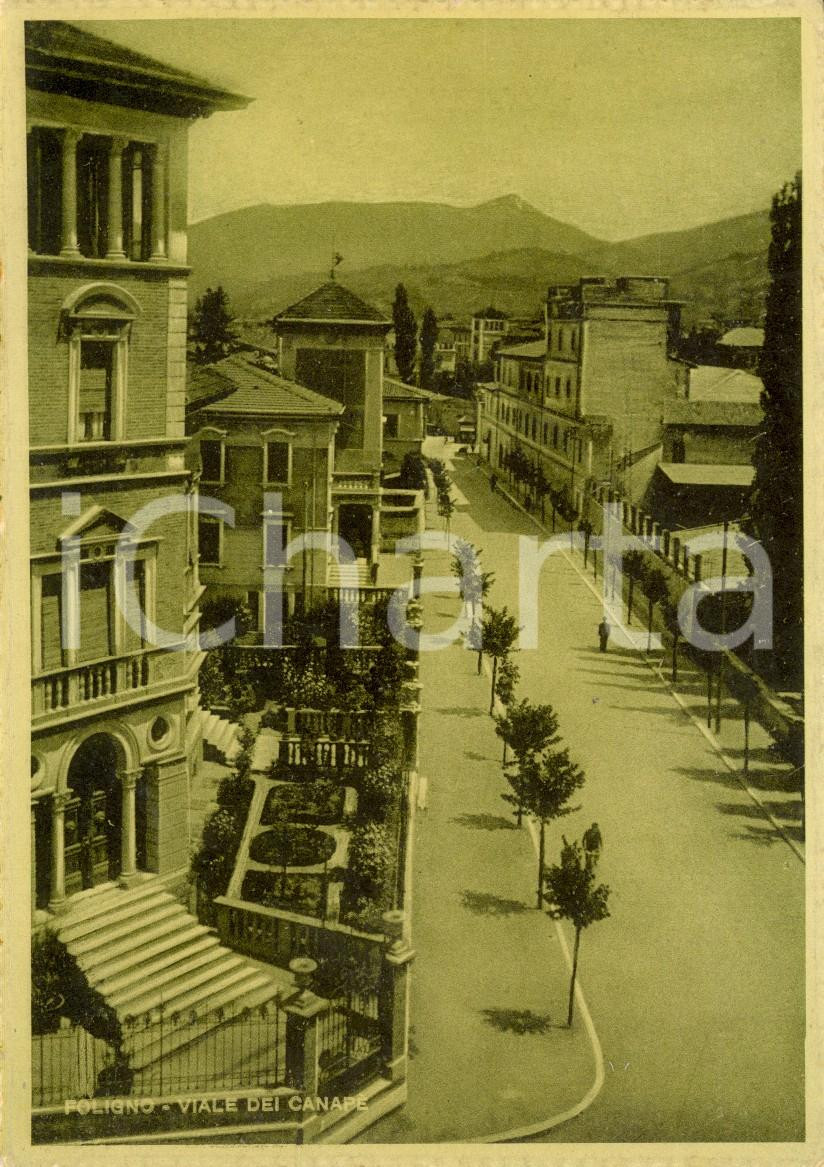 Cartolina originale da collezione 1940 ca FOLIGNO PG Veduta viale dei CANAPE  Cartolina DANNEGGIATA FG NV 1