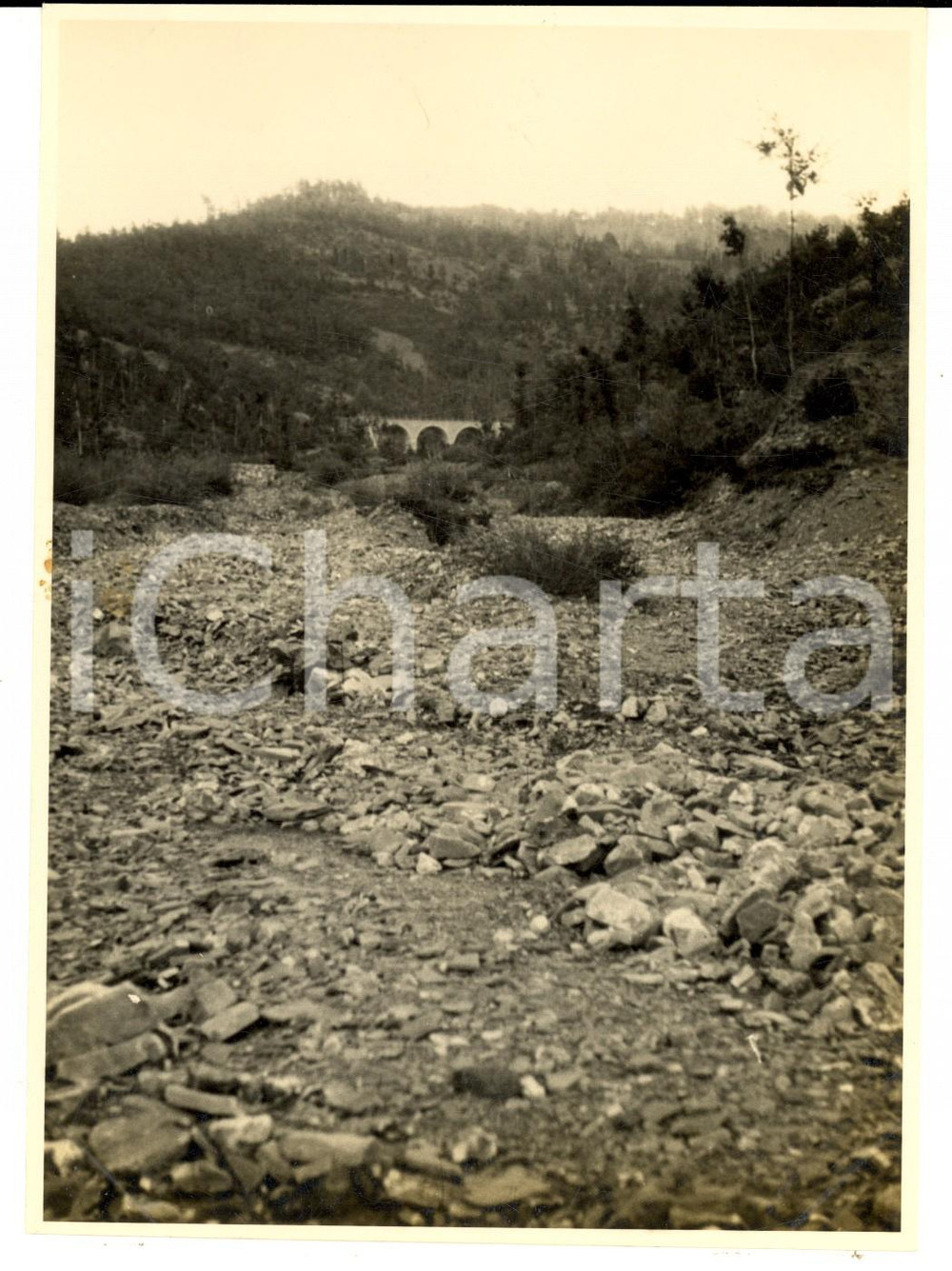 Fotografia d'epoca originale 1925 ca STRADA DEL BRALLO Veduta del FOSSO DEI COGNASSI *Foto artistica 1