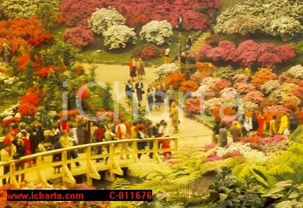 Cartolina originale da collezione 1986 GENOVA Fiera EUROFLORA Esposizione fiori Panorama VINTAGE Cartolina 2 1