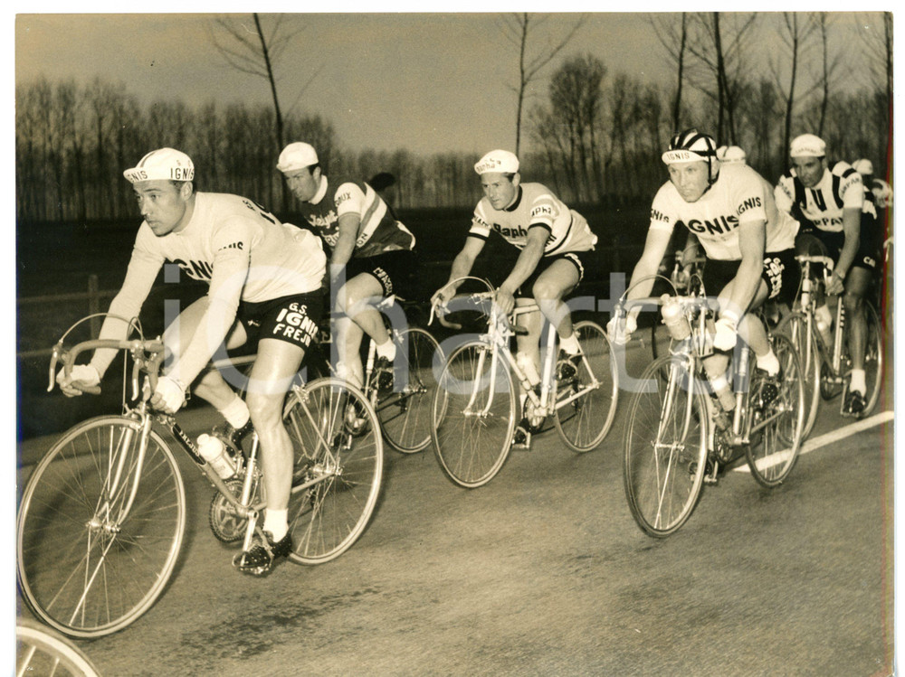 1959 CICLISMO MILANO-SANREMO Squadra IGNIS - Miguel POBLET guida il gruppo 