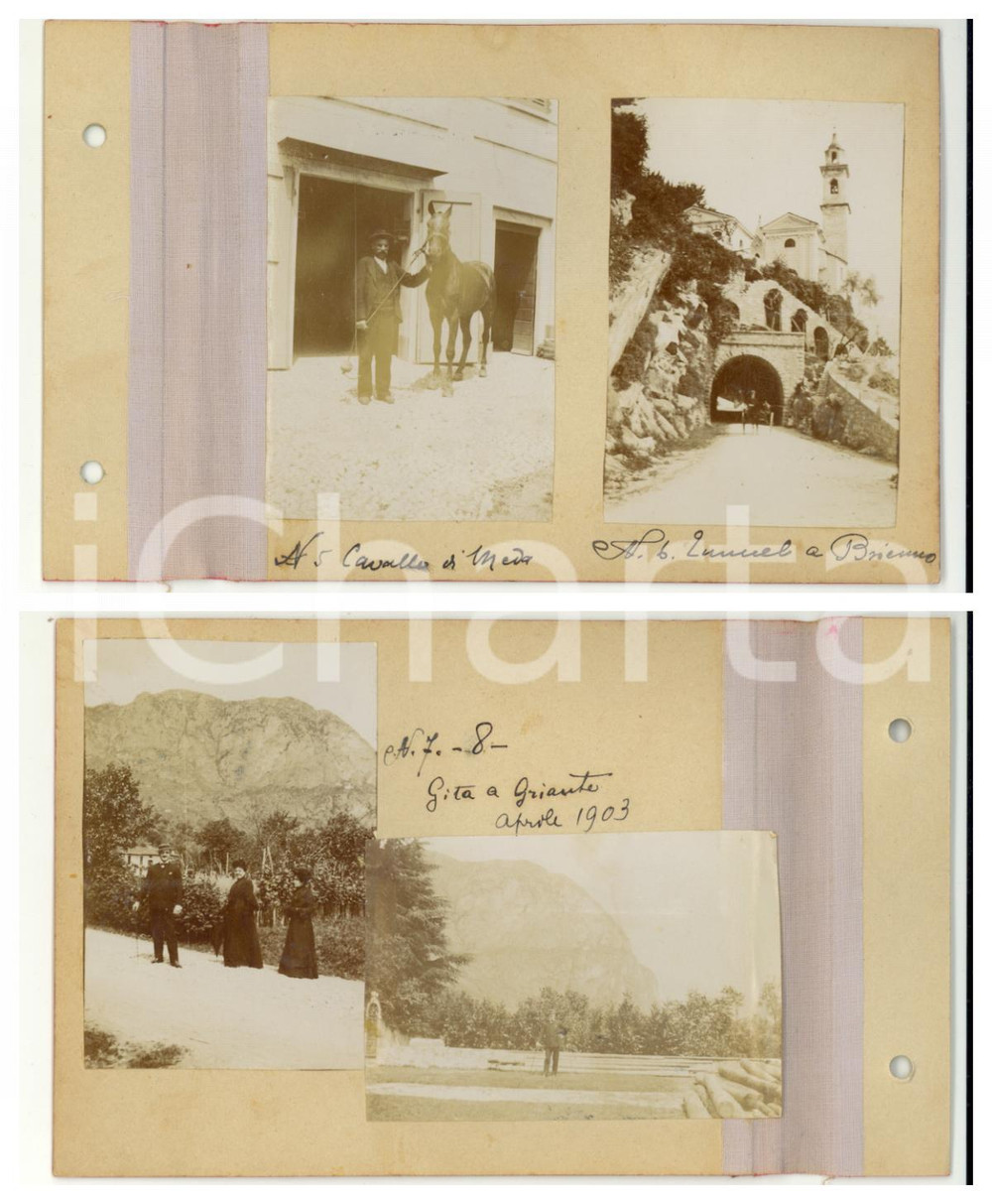 Fotografia d epoca originale 1903 MEDA Cavallo sauro  BRIENNO Tunnel   Gita a GRIANTE  Lotto 4 foto 1