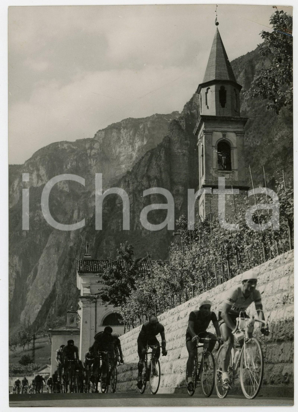 1955 CICLISMO BASSANO DEL GRAPPA Giro d'Italia - Corridori affrontano una salita