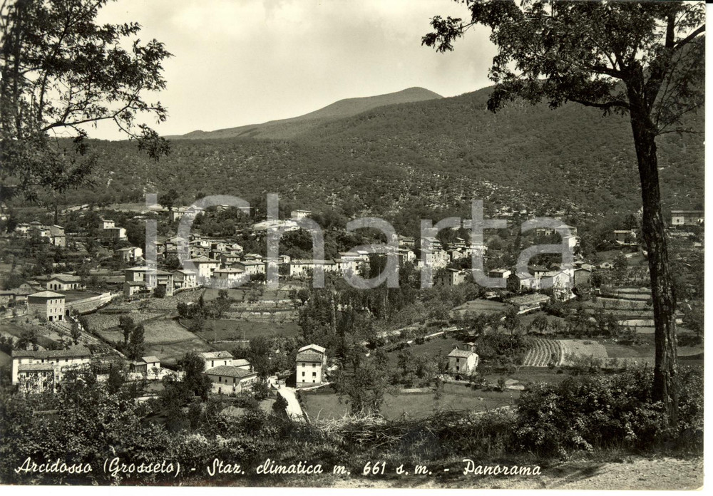 Cartolina originale da collezione 1955 ARCIDOSSO (GR) Scorcio panoramico con Monte AMIATA *Cartolina FG NV 1