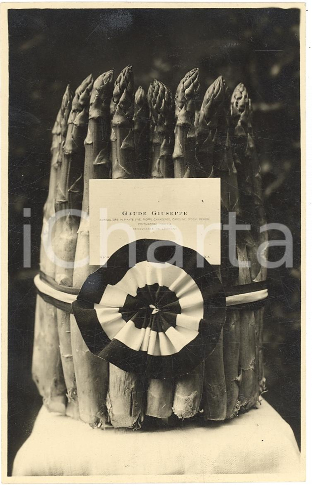 Fotografia d'epoca originale 1930 TORINO Premio agli asparagi di Giuseppe GAUDE 1