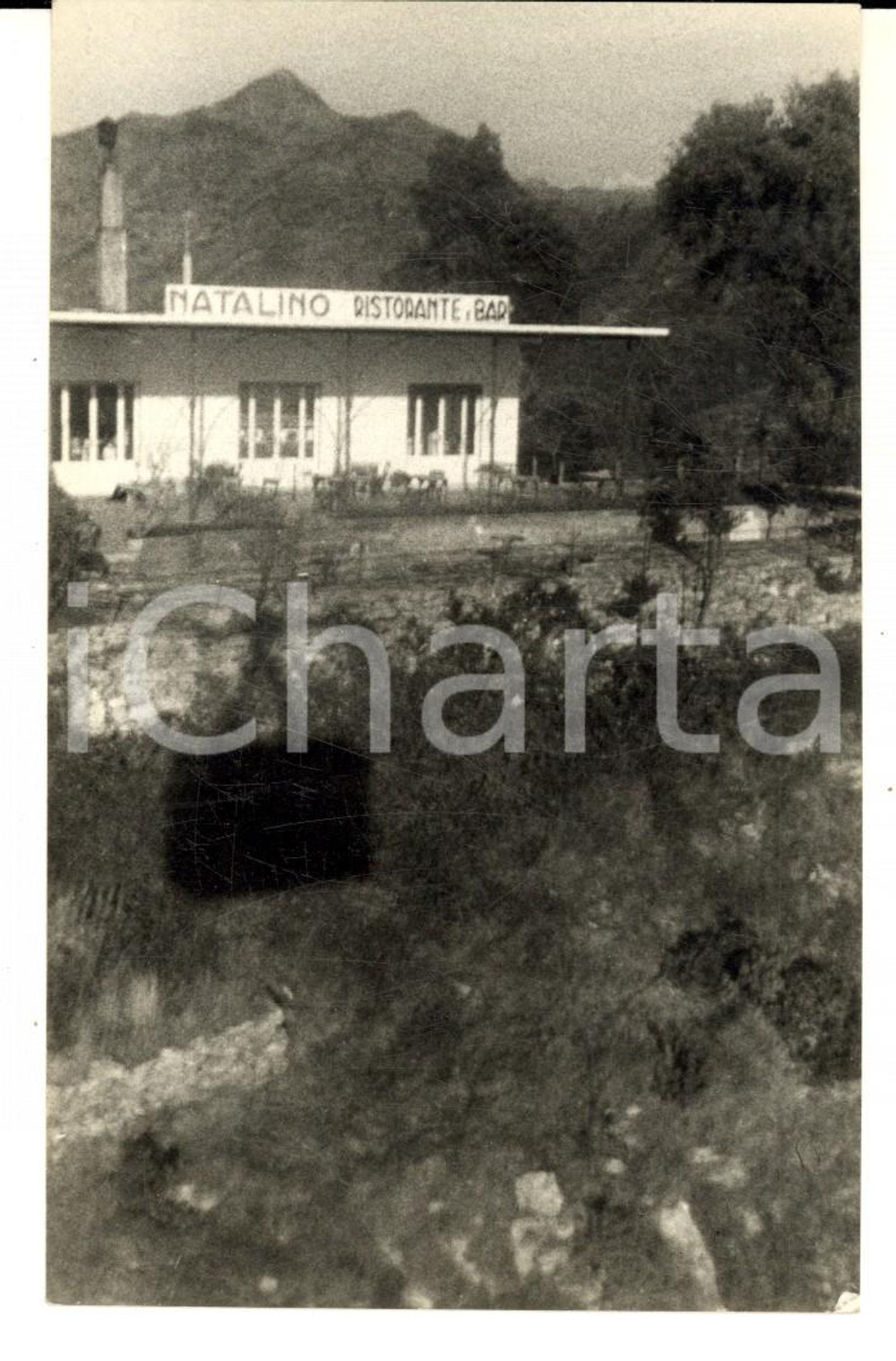 Fotografia d epoca originale 1956 MONTALLEGRO / RAPALLO GE Ristorante e bar NATALINO Foto cartolina 1