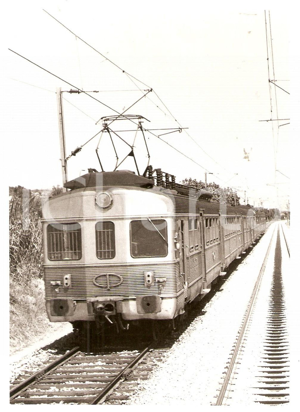 Fotografia d epoca originale 1965 ca CP Comboios de PORTUGAL Treno in corsa Foto 17 x 13 cm 1