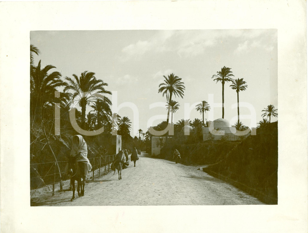 Fotografia d epoca originale 1935 ca TRIPOLI LIBIA Una delle nuove strade dell OASI Fotografia 1