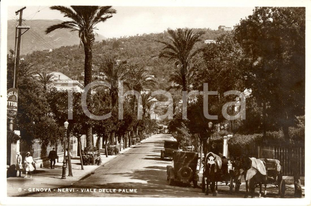 Cartolina originale da collezione 1940 ca GENOVA NERVI Viale delle PALME  Albergo VITTORIA ANIMATA con calessi 1