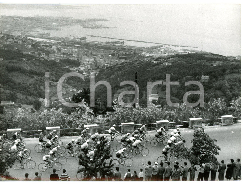 1955 CICLISMO GIRO D'ITALIA Corridori affrontano la salita di OPICINA *Foto