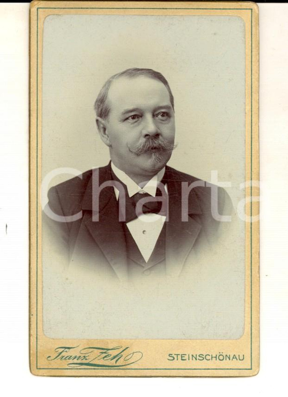 Fotografia d epoca originale 1890 ca STEINSCHONAU Ritratto maschile con cravattino Foto Franz FEH CDV 1