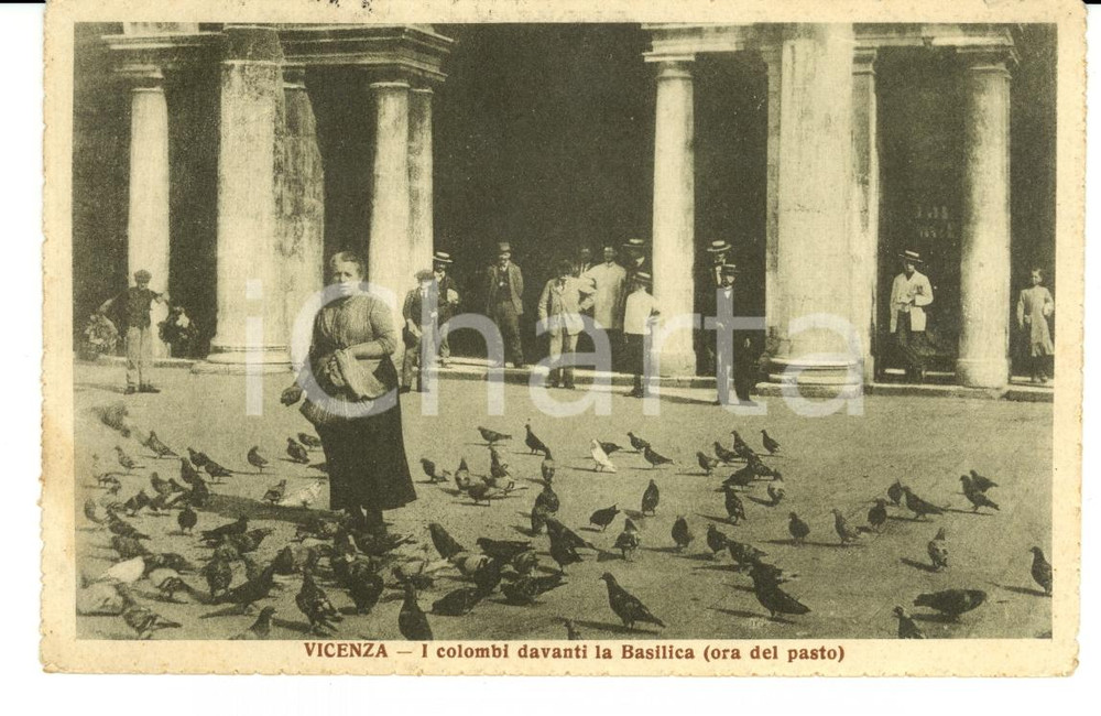 Cartolina originale da collezione 1916 VICENZA I colombi davanti alla Basilica ANIMATA FP VG 1