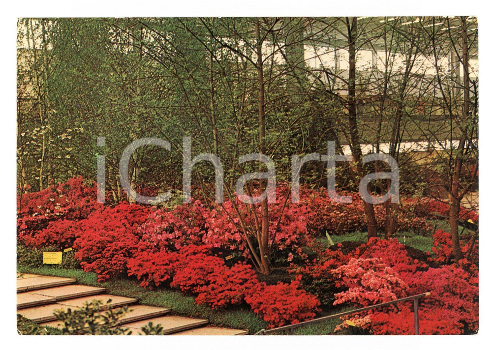 Cartolina originale da collezione 1981 GENOVA Fiera EUROFLORA Allestimenti floreali *Cartolina VINTAGE FG NV 1