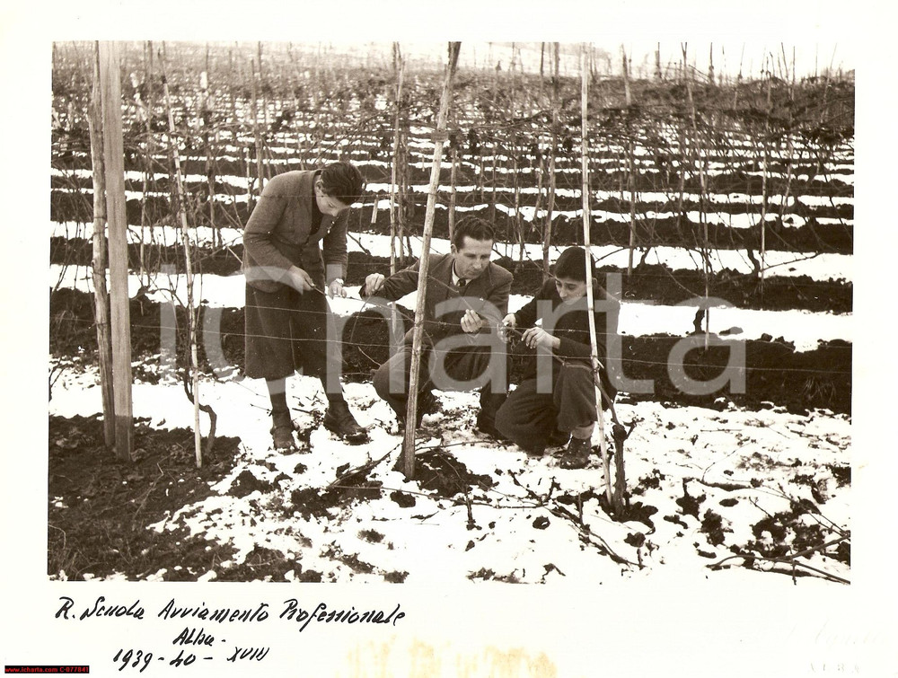 Fotografia d epoca originale 1939 ALBA CN Alunni Scuola Enologica Avviamento Professionale Fotografia 1