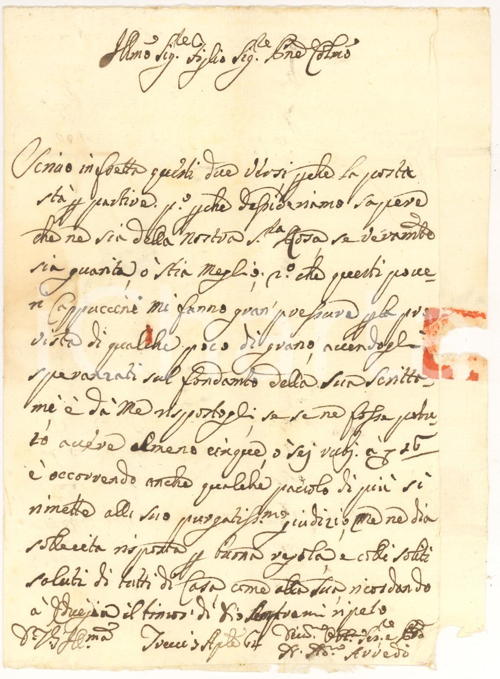 Manoscritto, lettera originale 1764 TREVI PG I poveri cappuccini chiedono grano in elemosina Niccolò ARREDI 1