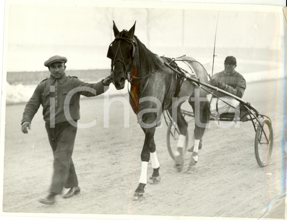 Fotografia d epoca originale 1935 MILANO Cavallo AULO GELLIO rientra al peso con sulky Foto DANNEGGIATA 1