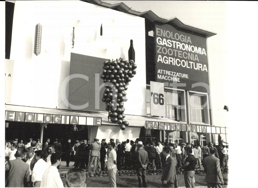 1966 PAVIA Rassegna Enologica al Palazzo Esposizioni - Foto 18x13 cm