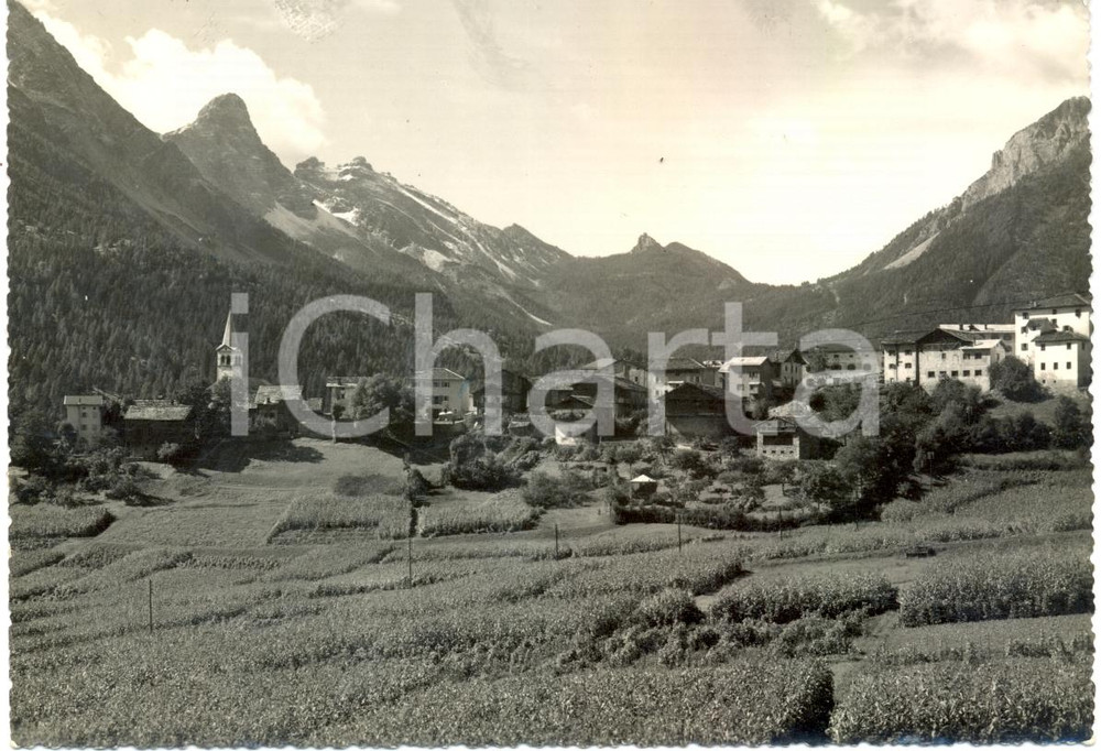 Cartolina originale da collezione 1957 VALLE DI CADORE BL Borgata COSTA e Forcella COPADA Cartolina FG VG 1