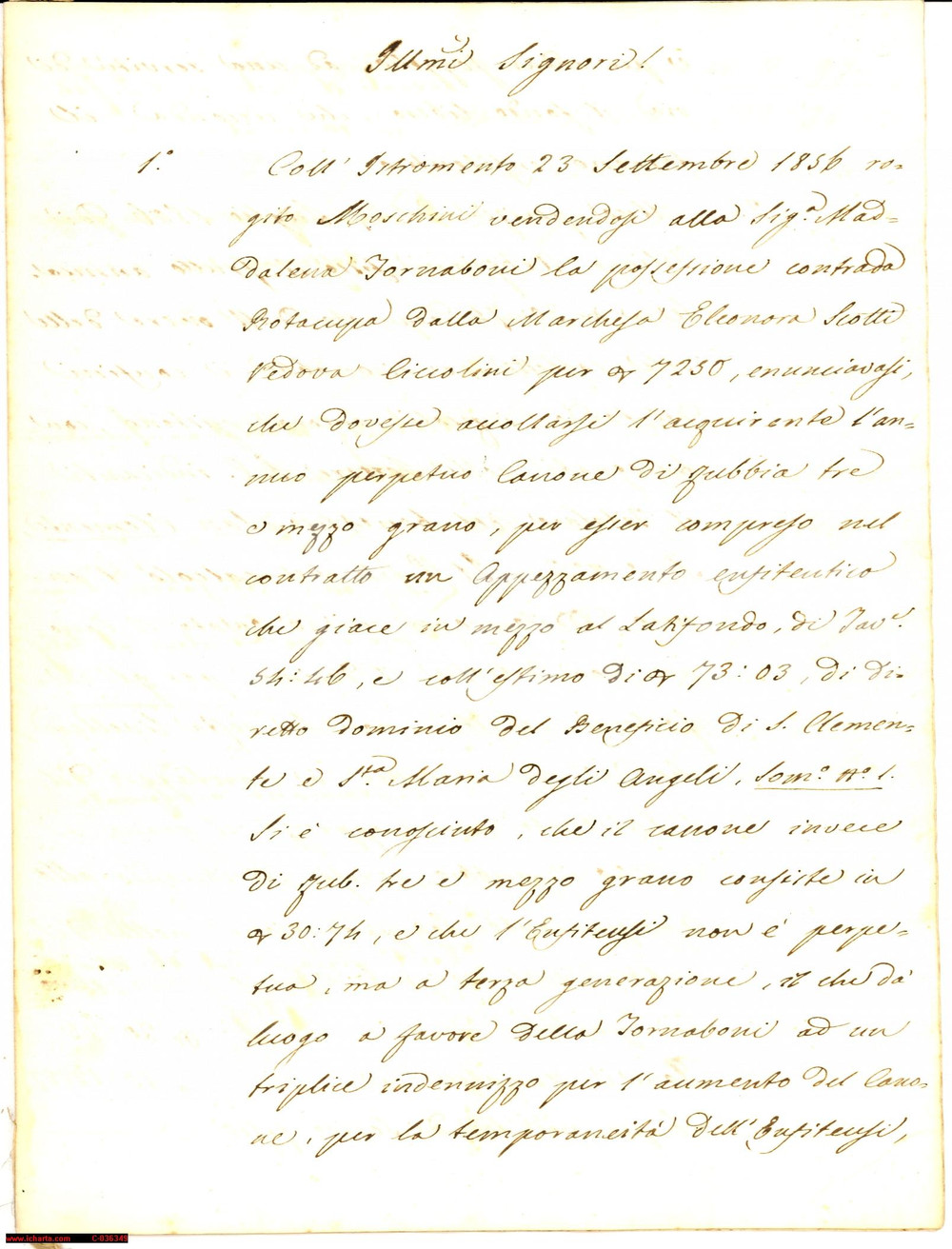 Documento originale, autentico 1858 MACERATA Canone su terra enfiteutica zona ROTACUPA 1