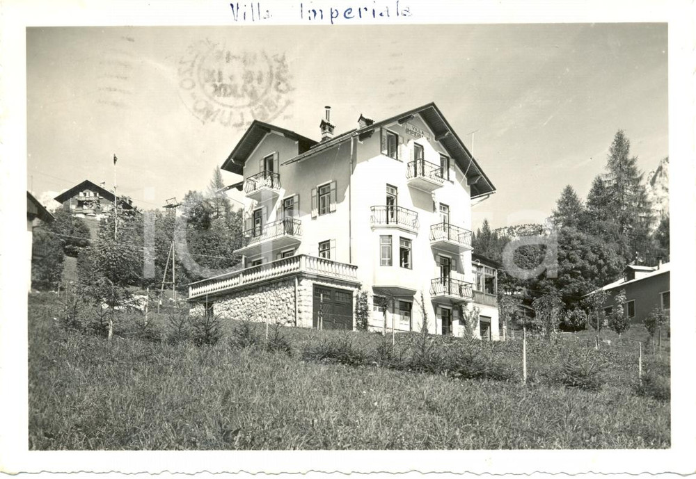 Cartolina originale da collezione 1960 BELLUNO prospettiva della Villa IMPERIALE Cartolina FG VG 1