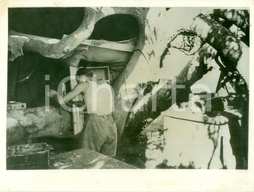 Fotografia d epoca originale 1940 AFRICA ORIENTALE ITALIANA WW2 Soldati in officina nascosta di base aerea 1