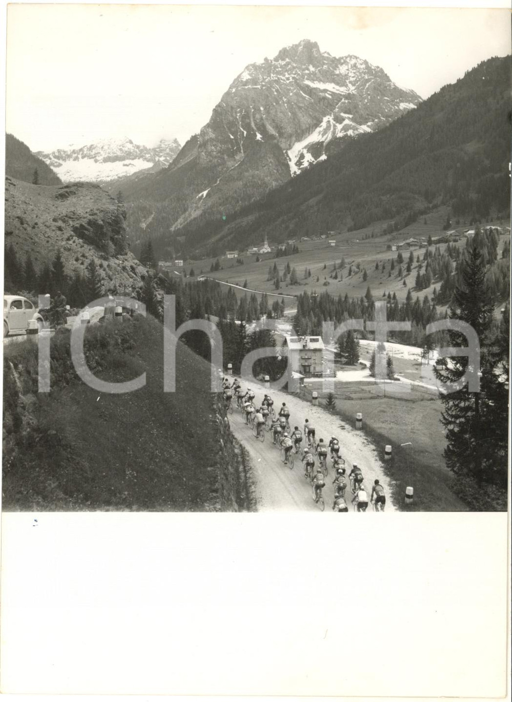 1955 CICLISMO GIRO D'ITALIA Tappa TRENTO-SAN PELLEGRINO Il gruppo in montagna