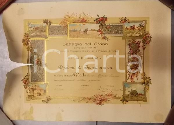 Documento originale, autentico 1928 MONTALDO TORINESE Battaglia del Grano Diploma Giusto VIDOTTO DANNEGGIATO 1