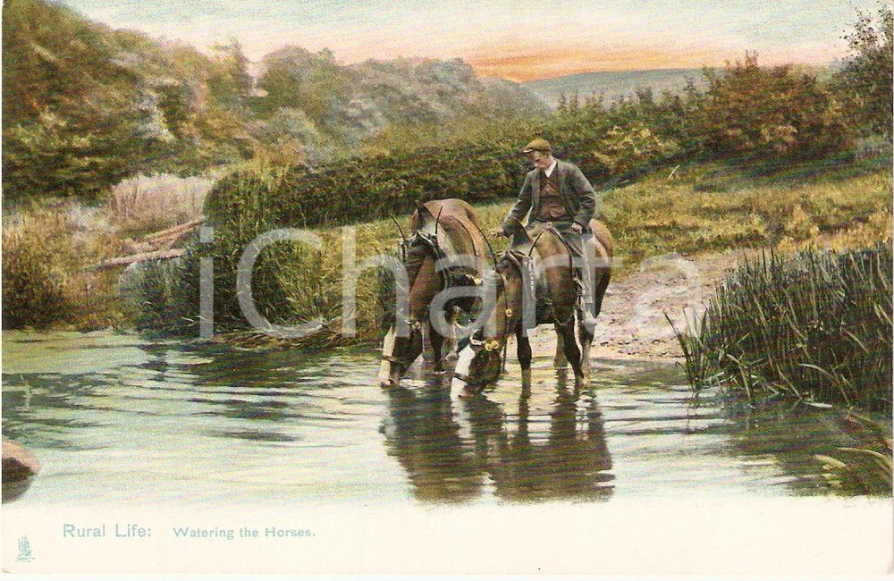 Cartolina originale da collezione 1910 UNITED KINGDOM - RURAL LIFE Watering the horse *VINTAGE Postcard FP NV 1