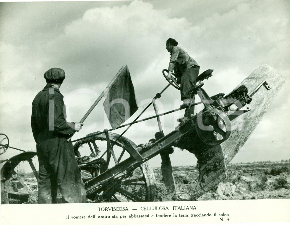 Fotografia d epoca originale 1940 ca TORVISCOSA UD Cellulosa Italiana Operai su aratro meccanico FOTO 1