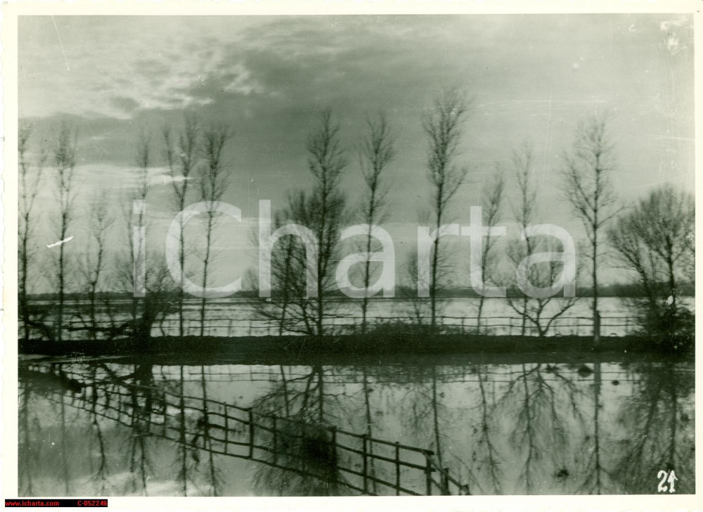 Fotografia d'epoca originale 1920 ca TERRACINA? Via APPIA allagata prima di BONIFICA 1