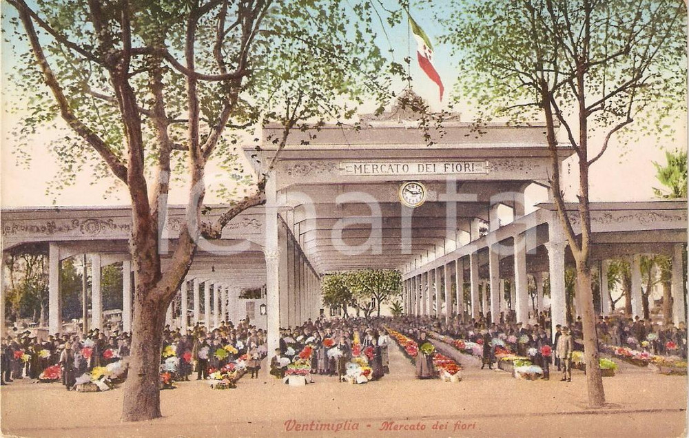 Cartolina originale da collezione 1930 ca VENTIMIGLIA (IM) Il Mercato dei Fiori *Cartolina ILLUSTRATA FP NV 1