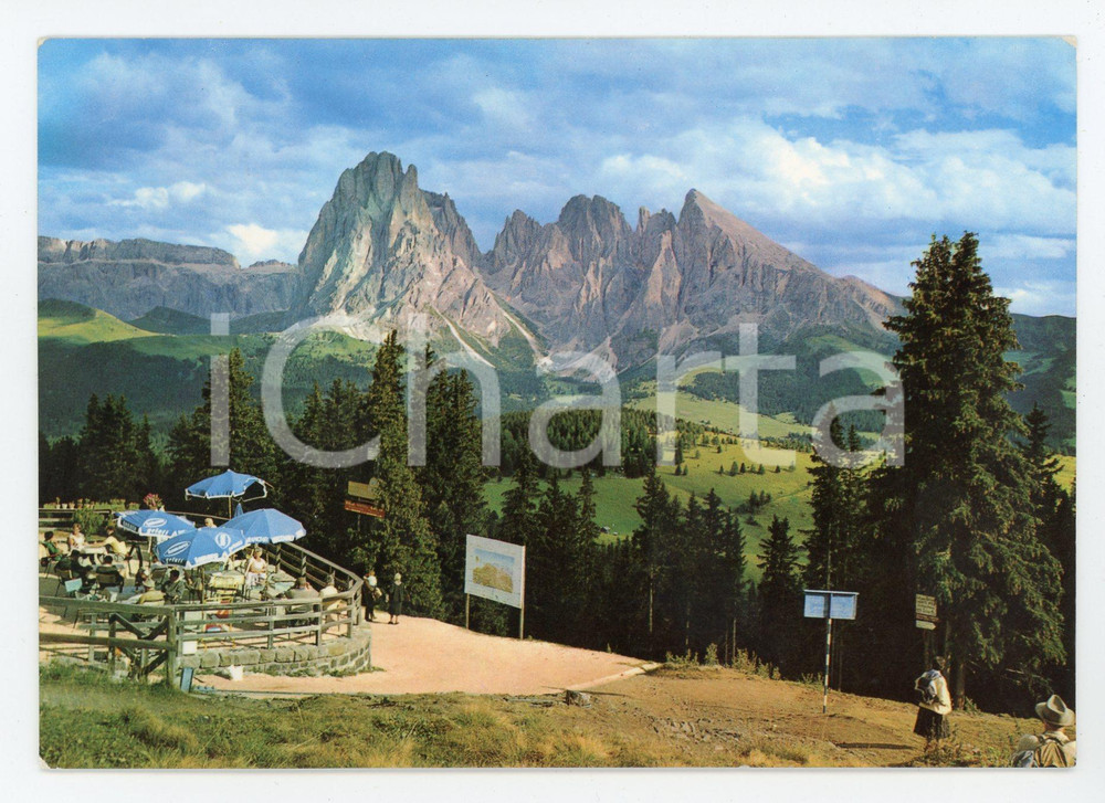 Cartolina originale da collezione 1965 TRENTO VAL GARDENA Panorama Alpe SIUSI e SASSOLUNGO Cartolina VINTAGE FG VG 1