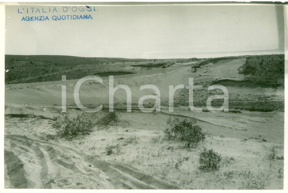 Fotografia d epoca originale 1935 ca ALEIM EDDIB LIBIA Strada da AGEDABIA a MARSA EL BREGA Fotografia 1