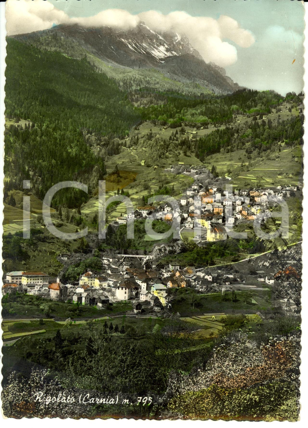 Cartolina originale da collezione 1955 RIGOLATO (UD) Scorcio panoramico della CARNIA *Cartolina FG VG 1