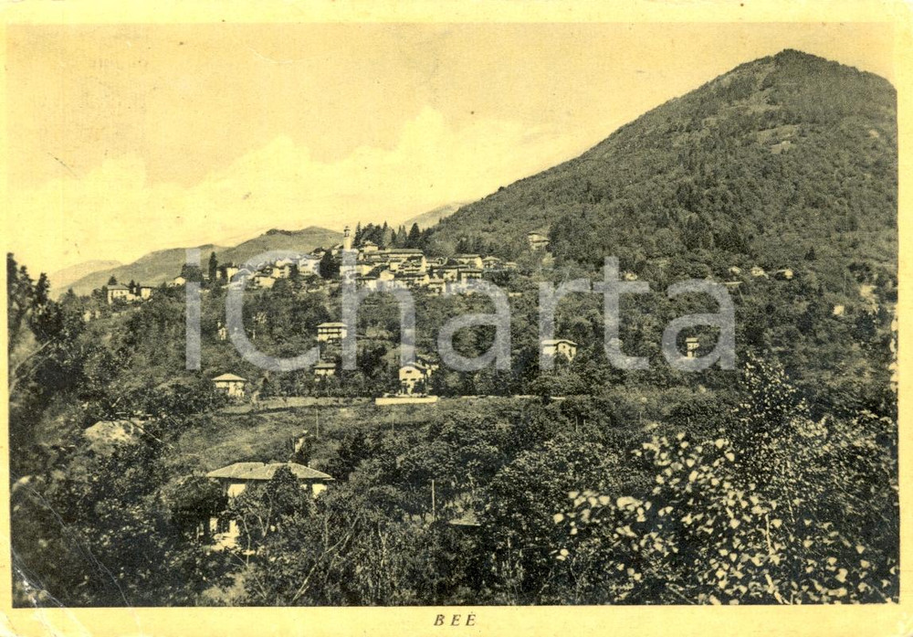 Cartolina originale da collezione 1955 ca BEE' (VB) Panorama generale e monte CIMOLO *Cartolina postale FG VG 1