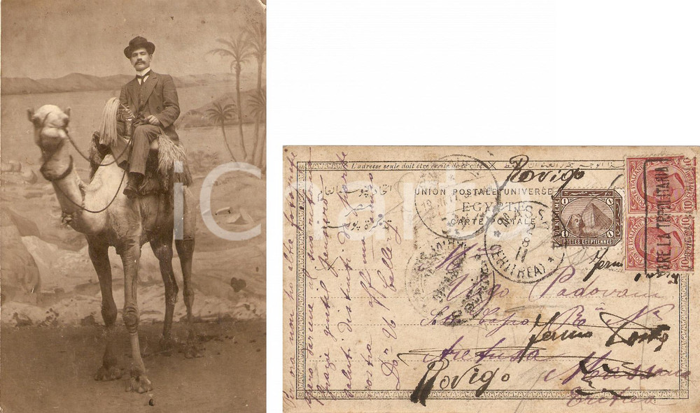 Cartolina originale da collezione 1910 ca IL CAIRO Egitto U. CALLERY in groppa al cammello FP VG 1