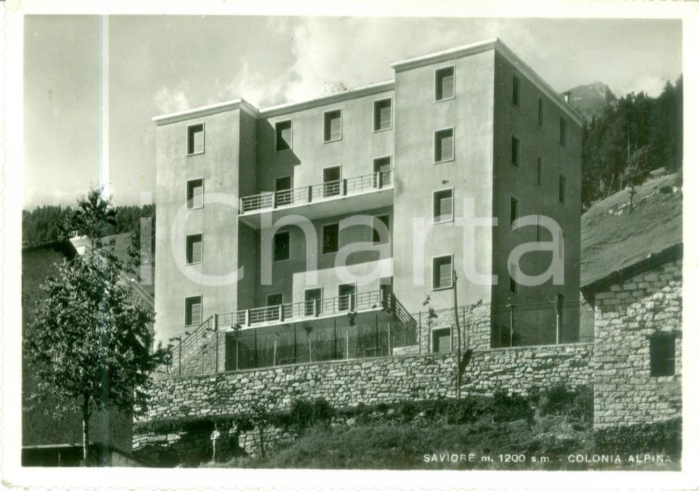 Cartolina originale da collezione 1955 SAVIORE DELL ADAMELLO BS Veduta della colonia alpina Cartolina FG VG 1