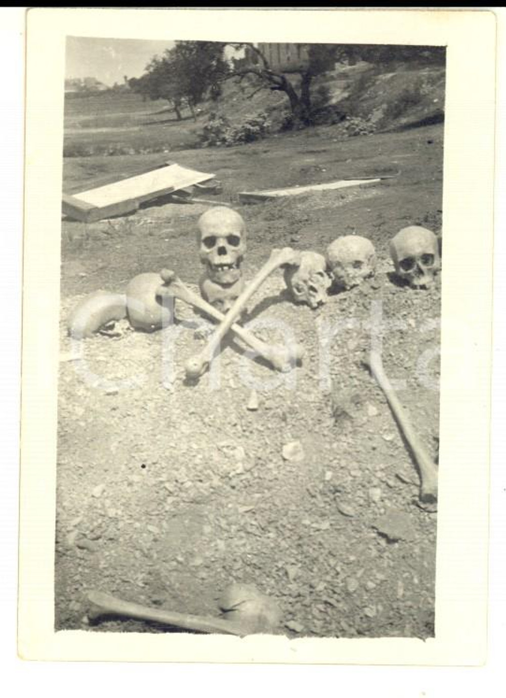 Fotografia d epoca originale 1940 ca ITALIA Cadavere ? sepolto tra i teschi Foto RARA CURIOSA 6x9 cm 1